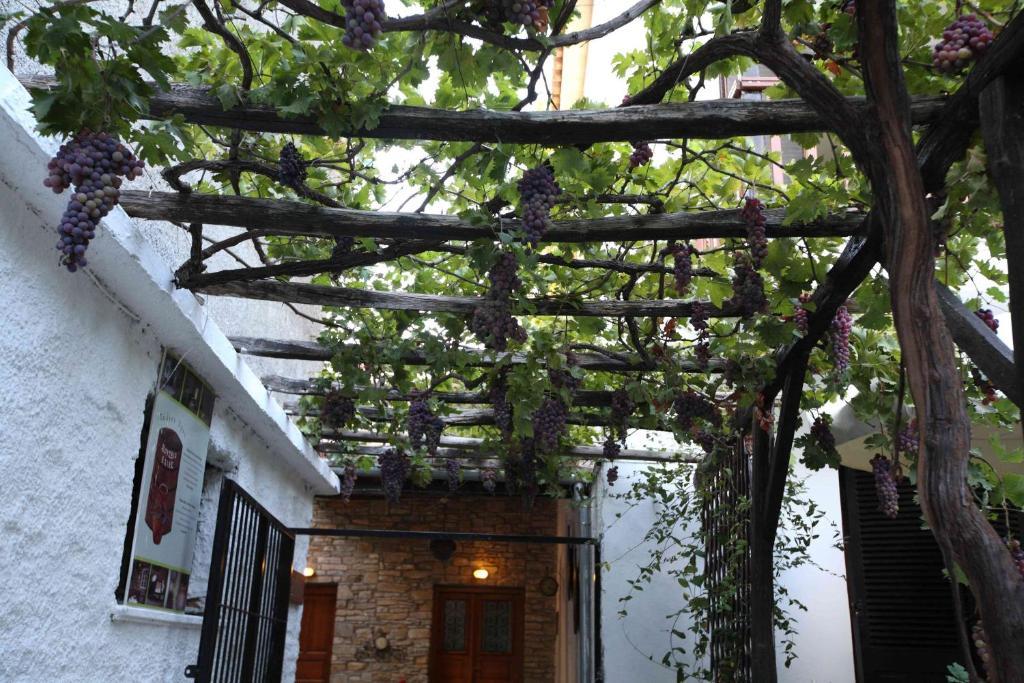 Mirto Apartment Afissos